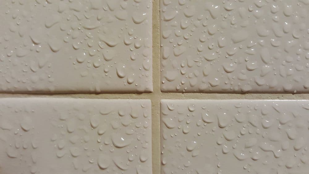 Wet Tiles Wet Tiles